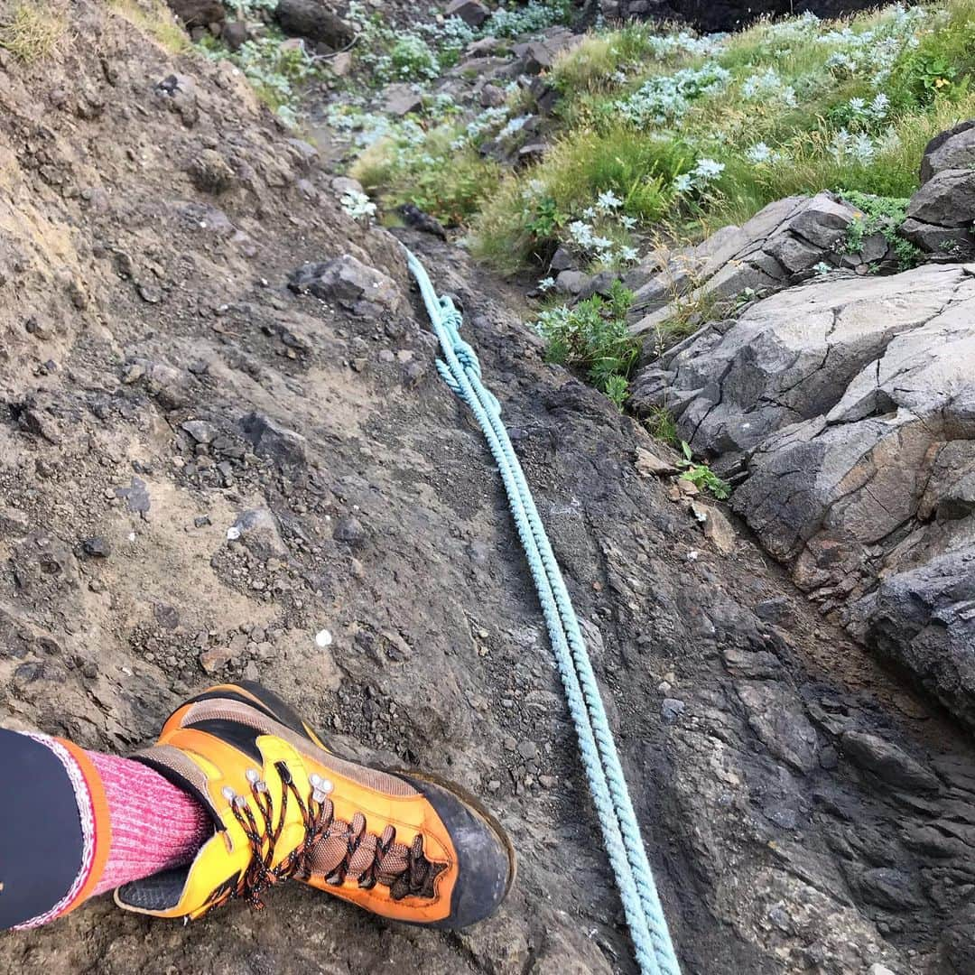 藤代冥砂さんのインスタグラム写真 - (藤代冥砂Instagram)「定住者のいない日本最長海岸、知床岬までの往復約50キロのルートを、4泊5日の行程で歩いてきた。著名なアウトドアマン高橋庄太郎さんに導かれての稀有な体験。東京、加古川、安曇野からの彼の仲間らと計5人で。 クマ(11頭！)、エゾシカ、キタキツネ(テント破られる)、オジロワシ、アザラシ(浜にうちあがりクマに食されていた)など野生動物を沢山見れたのは、このルートならではの愉しみ。^_^ とはいえ難易度は高く、海や川の渡渉、100メートル断崖の高巻き、懸垂下降、へつり、初見ルート取りなどアウトドアのさまざまな基礎技術が求められる。石の上や巨岩を越えていくベース歩行もウンザリするほど長ーく、行こうよ！と誰かを気軽には誘えないものだった。 その上でも、このルートは自分の大したことないウォーク歴で五指に入る。我こそは！という人は仲間を誘って今夏是非！ 入る前は、ルサフィールドセンターで直前情報を得るのがマスト。装備やルート崩落などの知識を得られる。稲葉さんが優しく対応してくださる。 グッドラック！  Shiretoko cape ,Hokkaido  #知床岬 #shiretokocape #capeshiretoko #トレッキング #北海道 #羅臼 #知床 #shiretoko」7月13日 7時19分 - meisafujishiro