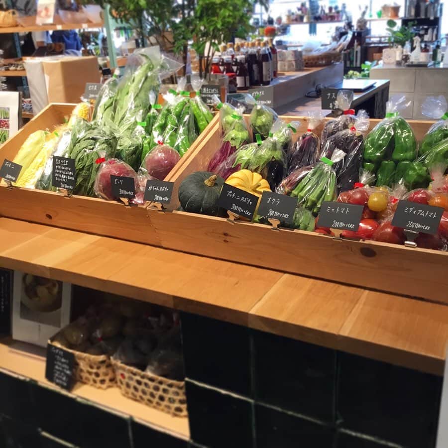 TODAY'S SPECIALさんのインスタグラム写真 - (TODAY'S SPECIALInstagram)「<MARKET-Kobe>本日神戸店では丹波で農薬化学肥料を一切使わずお野菜を作られてるしんぺ〜農園さん(@shinpeifarm )のお野菜マルシェを開催しています。 今回はスイートコーンを始め人気のミニトマト等 夏野菜がたくさん届きました! 是非この時期にしか味わえないお野菜をご賞味ください。 #todaysspecial #トゥデイズスペシャル #kobebal #神戸bal #しんぺー農園 #夏野菜」7月13日 13時31分 - cibone_ts