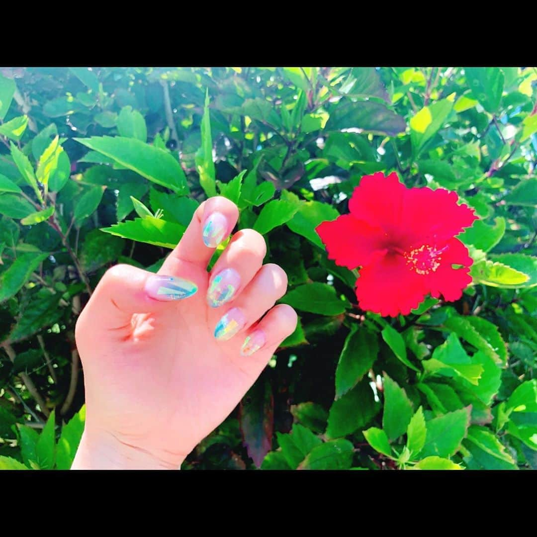 ベッキーさんのインスタグラム写真 - (ベッキーInstagram)「一生ギャル宣言🐬💖💅🌺 #うそです #5年ぶりのスカルプと沖縄へ行ったことを同時にご報告させていただきます #ネイル仕事 #沖縄プラ」7月13日 8時41分 - becky_dayo