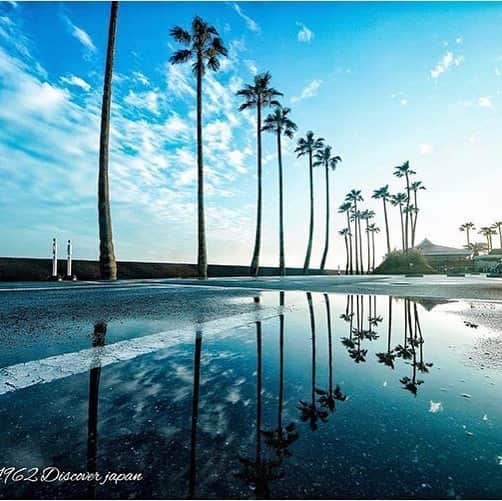 リストランテAO[公式]?イタリアン(青山店/逗子店)のグルメインスタ