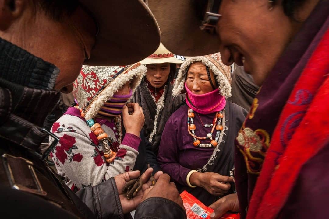 Michael Yamashitaさんのインスタグラム写真 - (Michael YamashitaInstagram)「Bargaining Tibetan style, buyers and sellers, up close and personal, haggle over precious yartsa gombu, the medicinal caterpillar fungus. The world’s most expensive herbal cure all, just one worm can cost upwards of $50. Situated along the Tea Horse Road, in the eastern Tibetan region of Kham, this and many other of my photos will be on exhibit during the Yunnan-Tibet Cultural Festival at Bridge 8 in Shanghai, from July 12 - 21st.  #Tibet #Yunnan #photoexhibition @songtsam」7月13日 10時00分 - yamashitaphoto