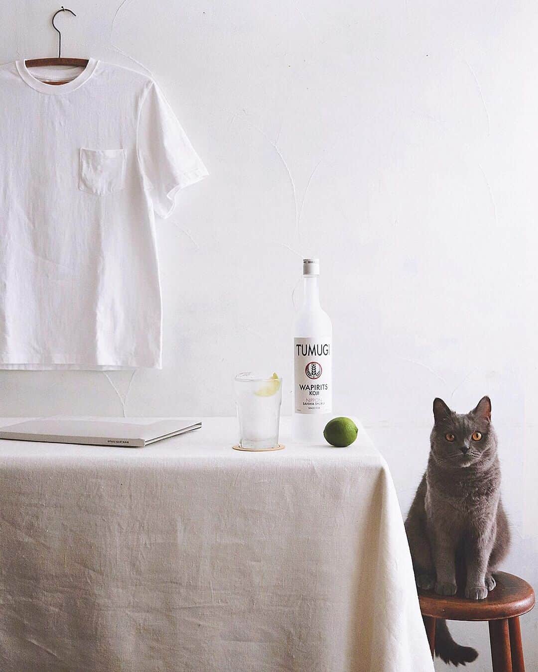 樋口正樹さんのインスタグラム写真 - (樋口正樹Instagram)「armi_tokyo & Tumugi  TシャツとTUMUGI、 おまけの猫。 . armiのTシャツも Wapirits TUMUGIも 日本の優れた伝統技術で 紡ぎ出されてます。 👉@armi_tokyo 👉@wapirits.tumugi . この二つ、どちらも 洗練された味わいで とても合わせやすく、 ドライでキレもあり 梅雨から真夏にかけ とてもおすすめです。 . . #TUMUGI #wapiritsTUMUGI #wapirits #madeinjapan #armi_tokyo #白t #上質 #高品質 #シンプル #丁寧な暮らし #メイドインジャパン #ドライテイスト #クラフトマンシップ #クラフトスピリッツ #和ピリッツ #三和酒類 #Libbey_jp」7月13日 11時01分 - higuccini