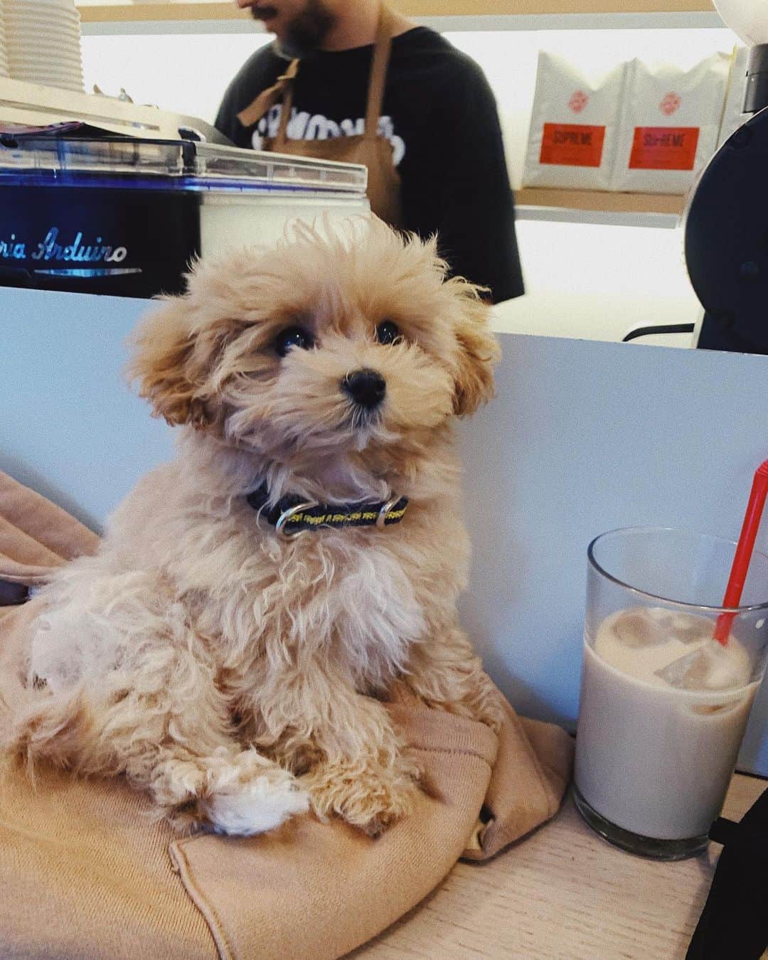 有末麻祐子のグルメインスタ