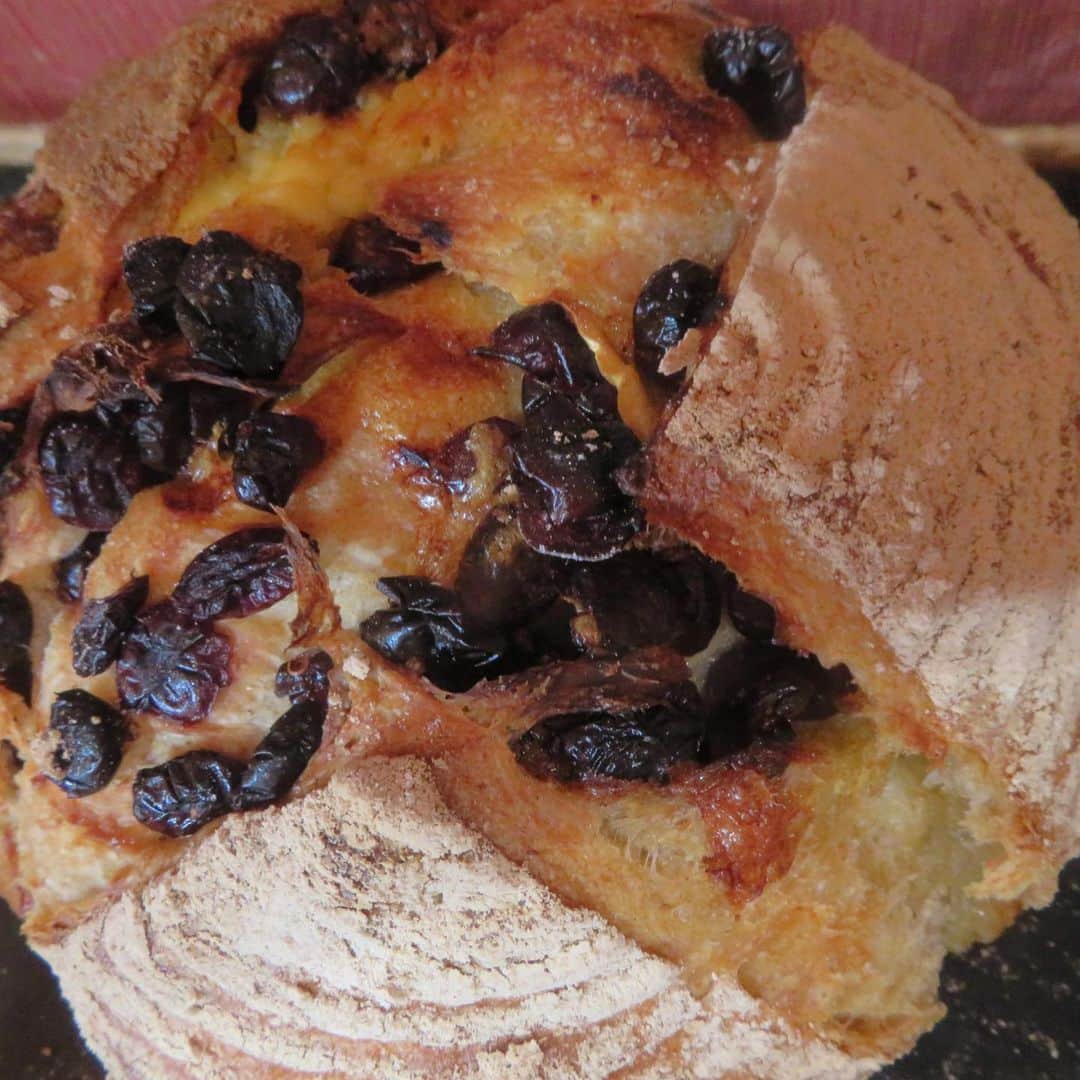 魔女菅原のグルメインスタ