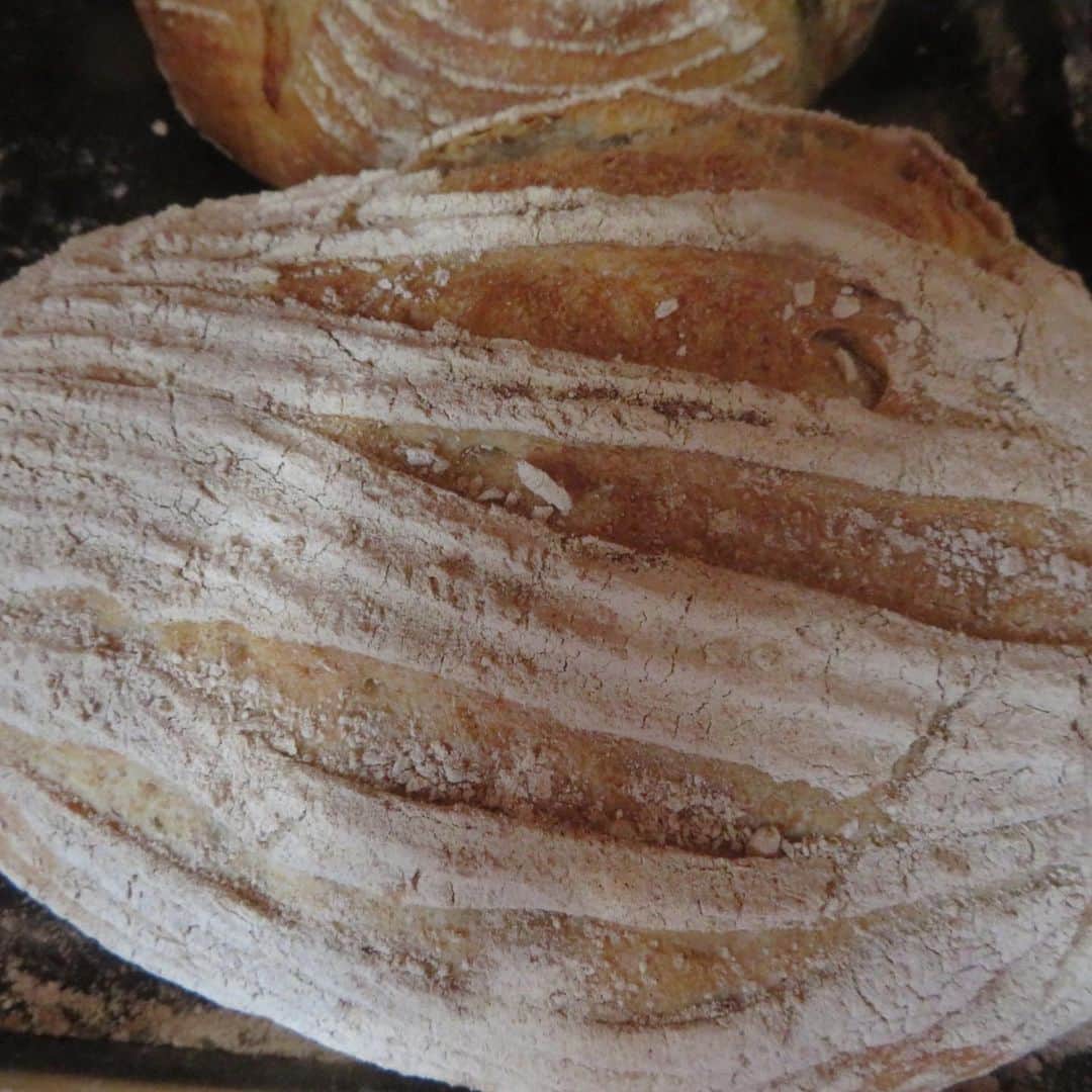 魔女菅原のグルメインスタ