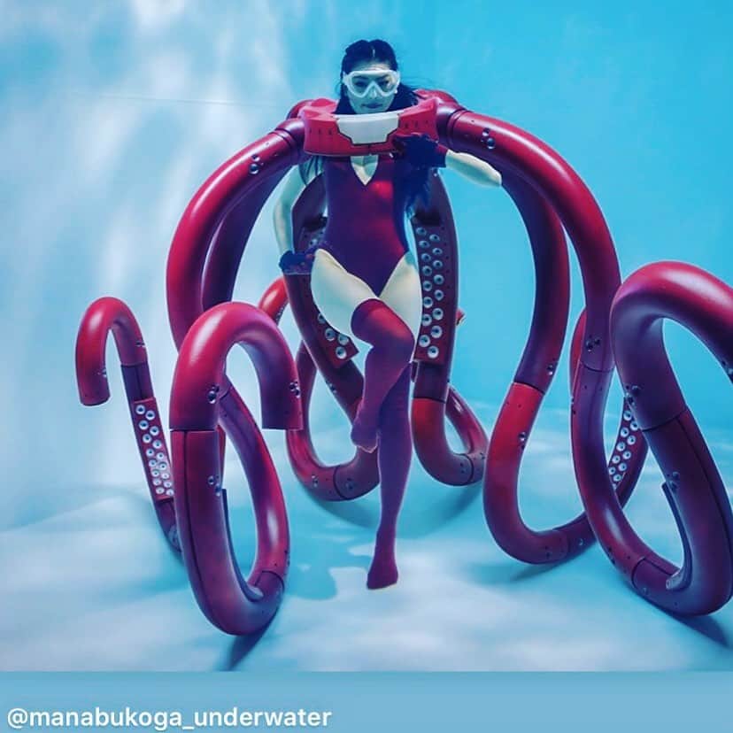 のインスタグラム：「🐙🐙🐙🐙🐙🐙🐙🐙🐙🐙🐙🐙」