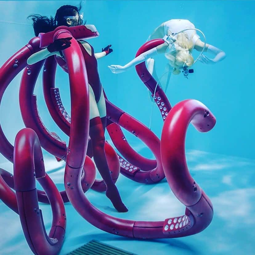 のインスタグラム：「🐙🐙🐙🐙🐙🐙🐙🐙🐙🐙🐙」
