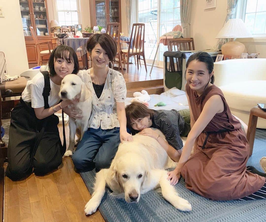 松嶋恵里のインスタグラム：「綺麗なお姉さま方が我が家のわんこを可愛がってくれた🥺❤️ たくさん遊んでもらって撫でられてとても幸せそうだった🐶みんなありがとう💗 #英ゴル#ゴル#ゴールデンレトリバーの子犬#多頭飼い#大型犬#ゴールデンレトリバーのいる生活」