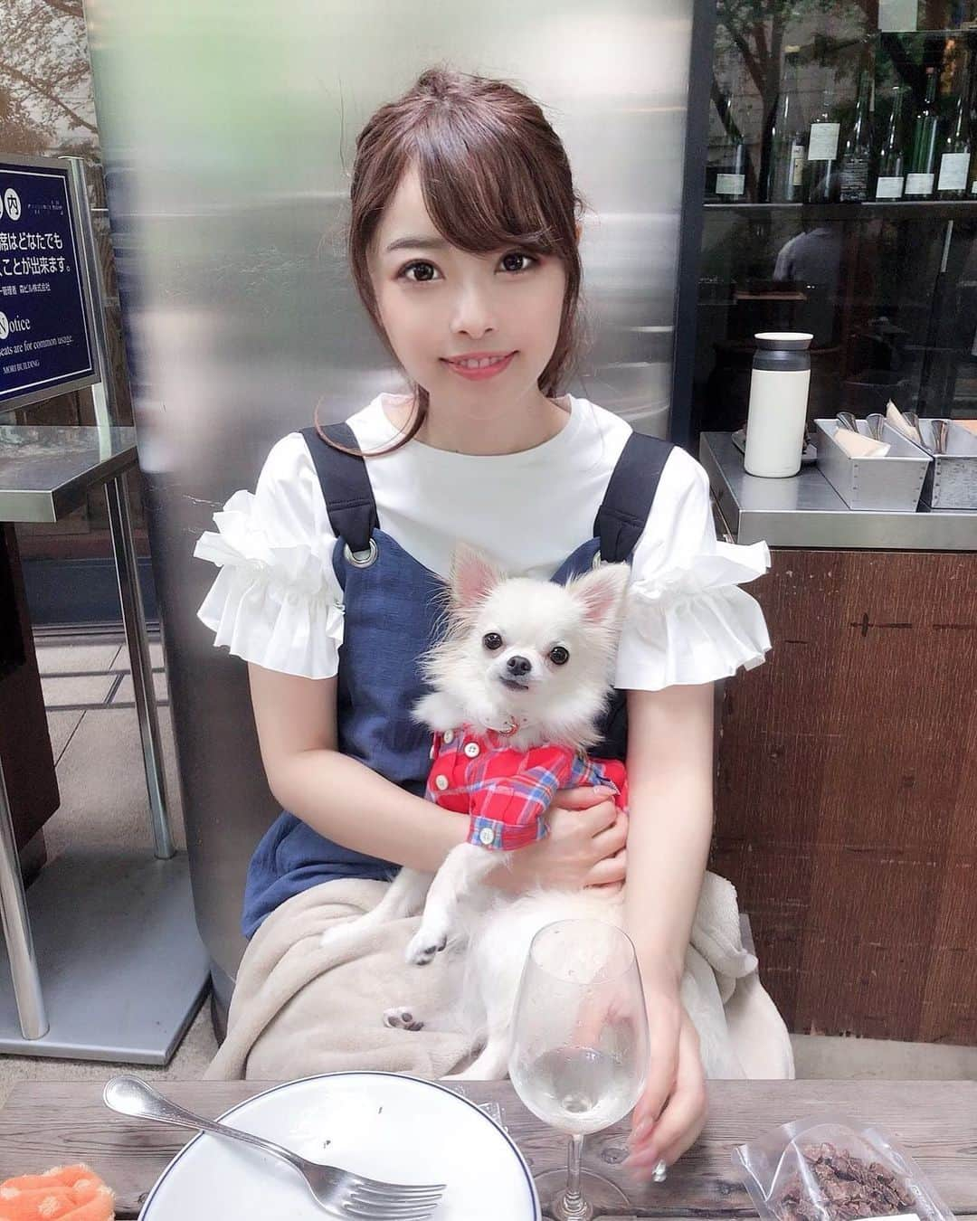 白石ゆうかさんのインスタグラム写真 - (白石ゆうかInstagram)「カフェランチ🍷 息子🐶もいっしょ . . . #fashion  tops @estnation_jp #estnation  combinaison @drwcys_official #drwcys . . #cafe #いぬすたぐらむ #いぬのいる暮らし #いぬのきもち #love #dog #dogsofinstagram #chihuahua #おしゃれさんと繋がりたい」7月13日 21時38分 - shiraishi_yuuka