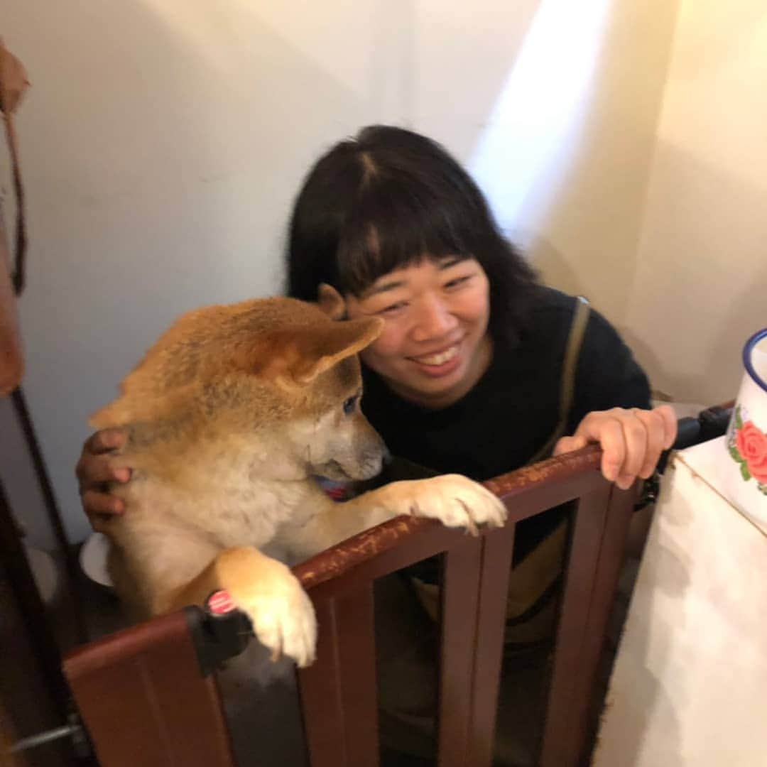 伊藤修子さんのインスタグラム写真 - (伊藤修子Instagram)「自分の犬でもないのに散歩も少しさせていただきました。」7月13日 21時38分 - itoshuko