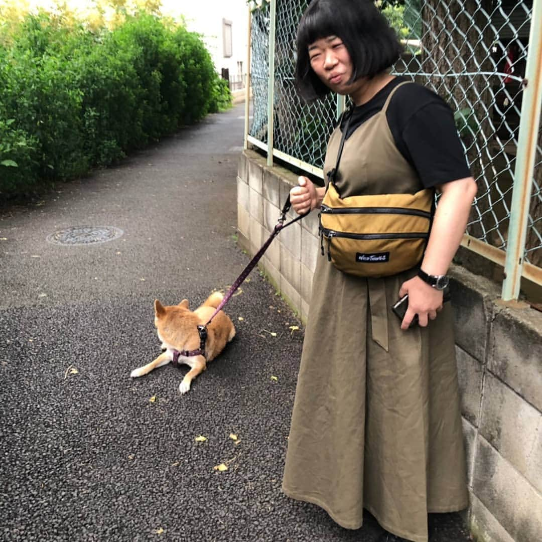 伊藤修子さんのインスタグラム写真 - (伊藤修子Instagram)「自分の犬でもないのに散歩も少しさせていただきました。」7月13日 21時38分 - itoshuko