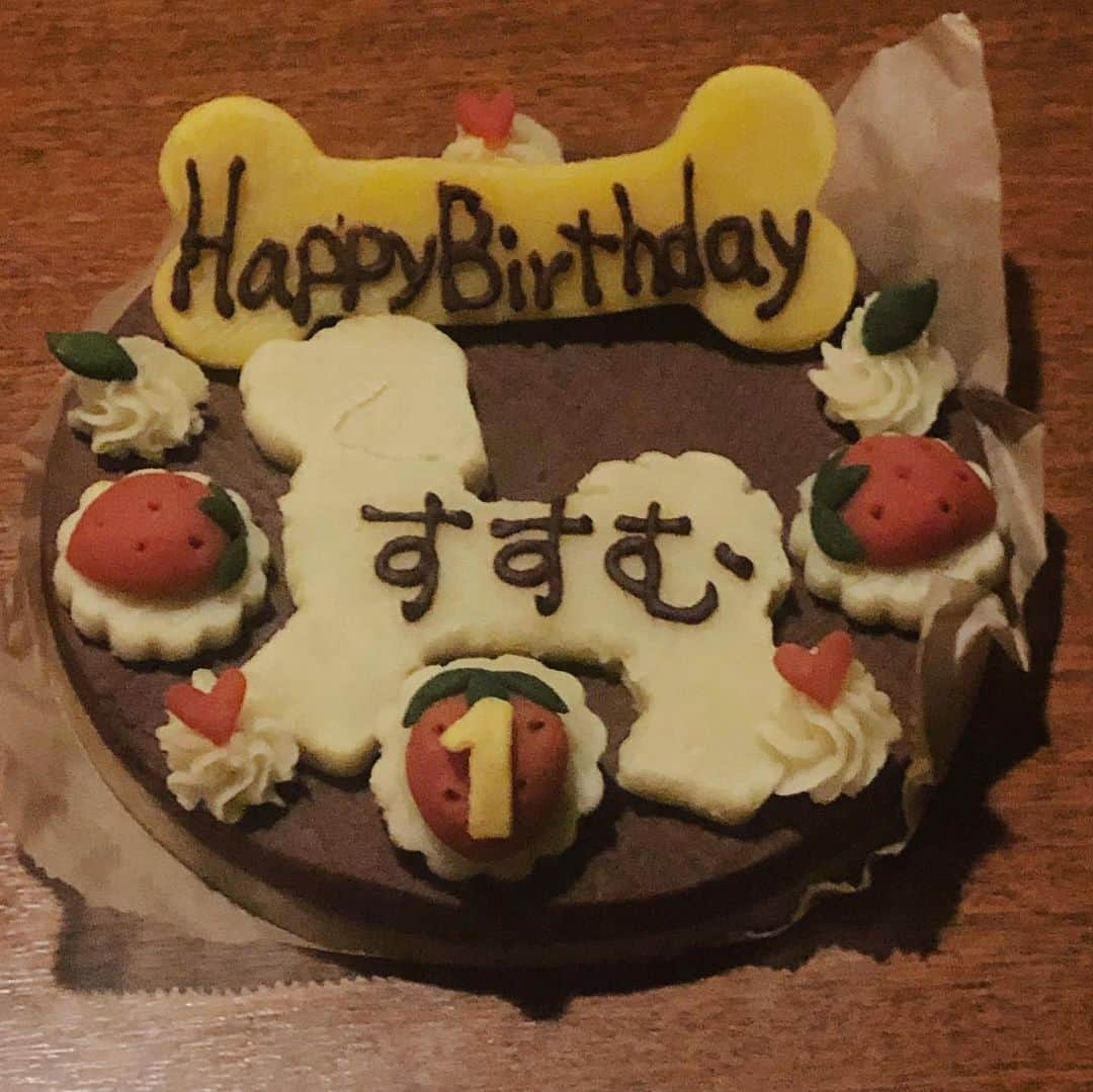 田中芽衣（めいめろ）さんのインスタグラム写真 - (田中芽衣（めいめろ）Instagram)「Happy Birthday ! 我が家の、すすむ殿 ! 1歳のお誕生日おめでとう ! 1年前の今日生まれてきてくれてありがとう ! ロウソクつけ忘れてごめんね ! 大好きだよ !🤤🎂🥺🔥」7月13日 21時54分 - mei_tnk