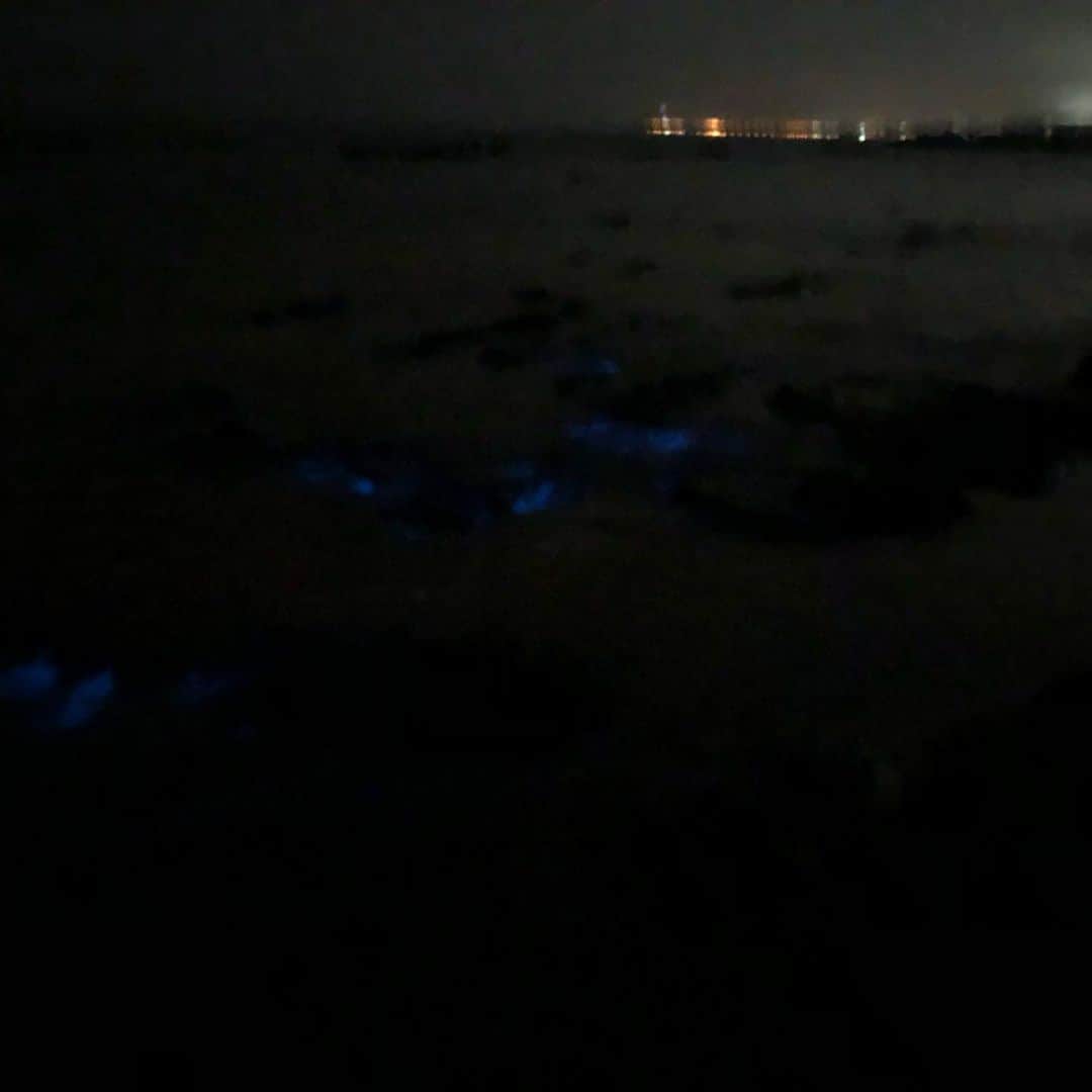 落合隼亮さんのインスタグラム写真 - (落合隼亮Instagram)「Stranger things??? #ocean #夜光虫 #japan #luminousinsects #strangerthings #beach」7月13日 22時06分 - ottieshun