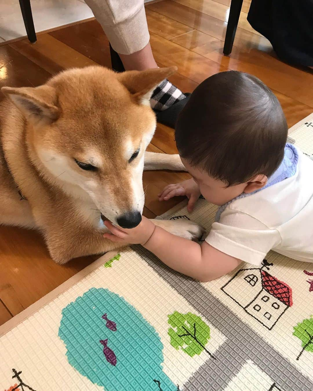 高橋みゆきさんのインスタグラム写真 - (高橋みゆきInstagram)「スギちゃんボウズと👶💕同級生会🎶子供達が本当楽しそうで❣️こっちが嬉しくなっちゃうよ☺️ #同級生 #4ヶ月差 #大きさ完全に抜かれた #ムチムチ感は先輩 #誕生日プレゼントもらったよ #ありがとう #楽しくて気づけば夕方 #次は梅雨明けに」7月13日 22時23分 - shin_miyukichi