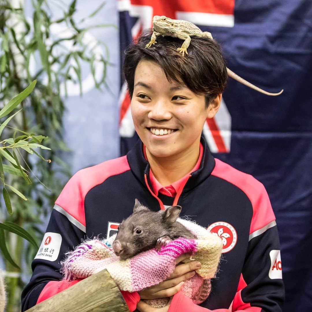 ITTF Worldさんのインスタグラム写真 - (ITTF WorldInstagram)「What happened when the Dragon 🐉 met the Koala 🐨 ⁉️ . #Animals #Wildlife #Australia #DownUnder 🇦🇺 #ITTFWorldTour #2019AussieOpen」7月13日 14時56分 - wtt