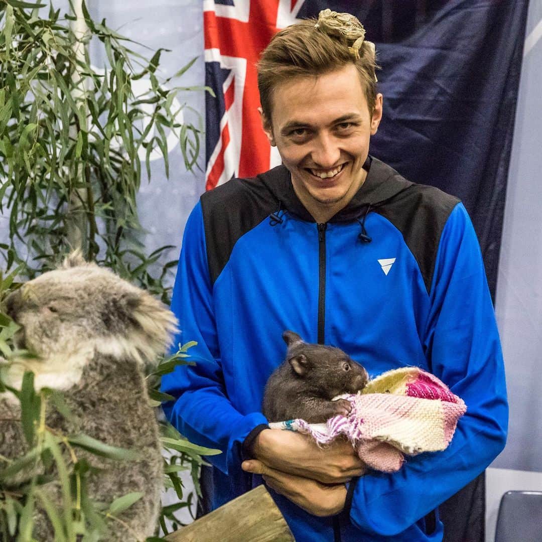 ITTF Worldさんのインスタグラム写真 - (ITTF WorldInstagram)「What happened when the Dragon 🐉 met the Koala 🐨 ⁉️ . #Animals #Wildlife #Australia #DownUnder 🇦🇺 #ITTFWorldTour #2019AussieOpen」7月13日 14時56分 - wtt