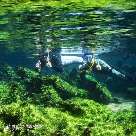 世界淡水魚園水族館 アクア・トト ぎふのインスタグラム：「今日からスタートした企画展「アマゾンを超える水の楽園 ブラジル・パンタナール大湿原」。 南米中央に位置する世界最大の大湿原を現地調査したスタッフが作り上げた展示です。 どうぞご覧くださいね。  #アクアトト #アクアトトぎふ #アクアトト岐阜 #アクアトトは15周年 #pantanal」