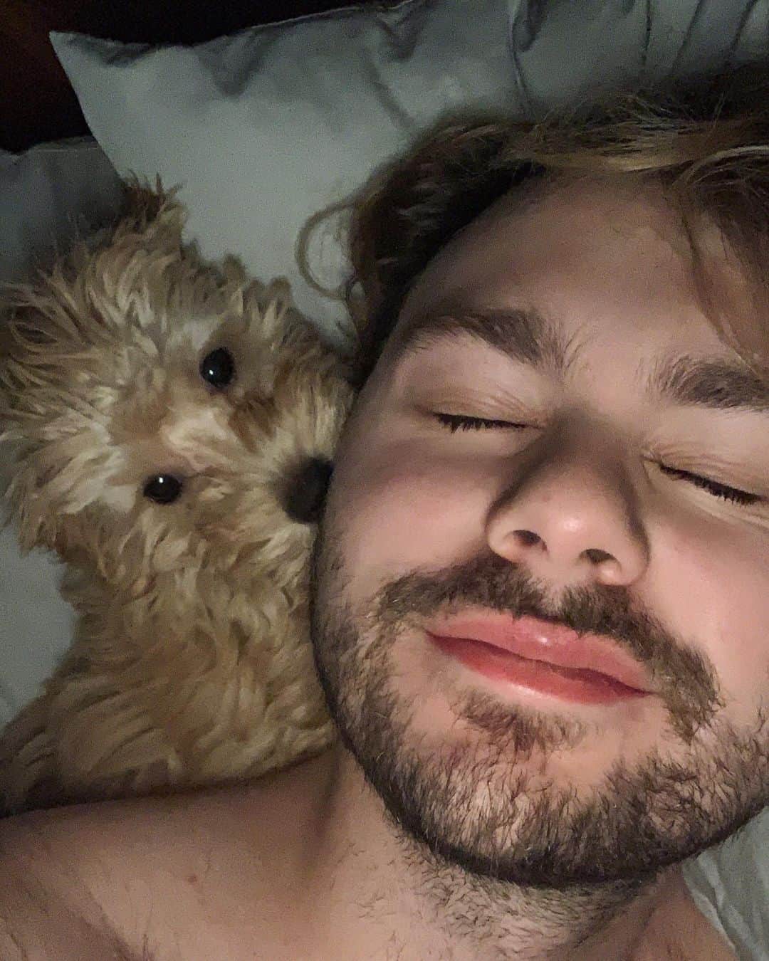 マイケル・クリフォードのインスタグラム：「did someone ask for more dog pics?」