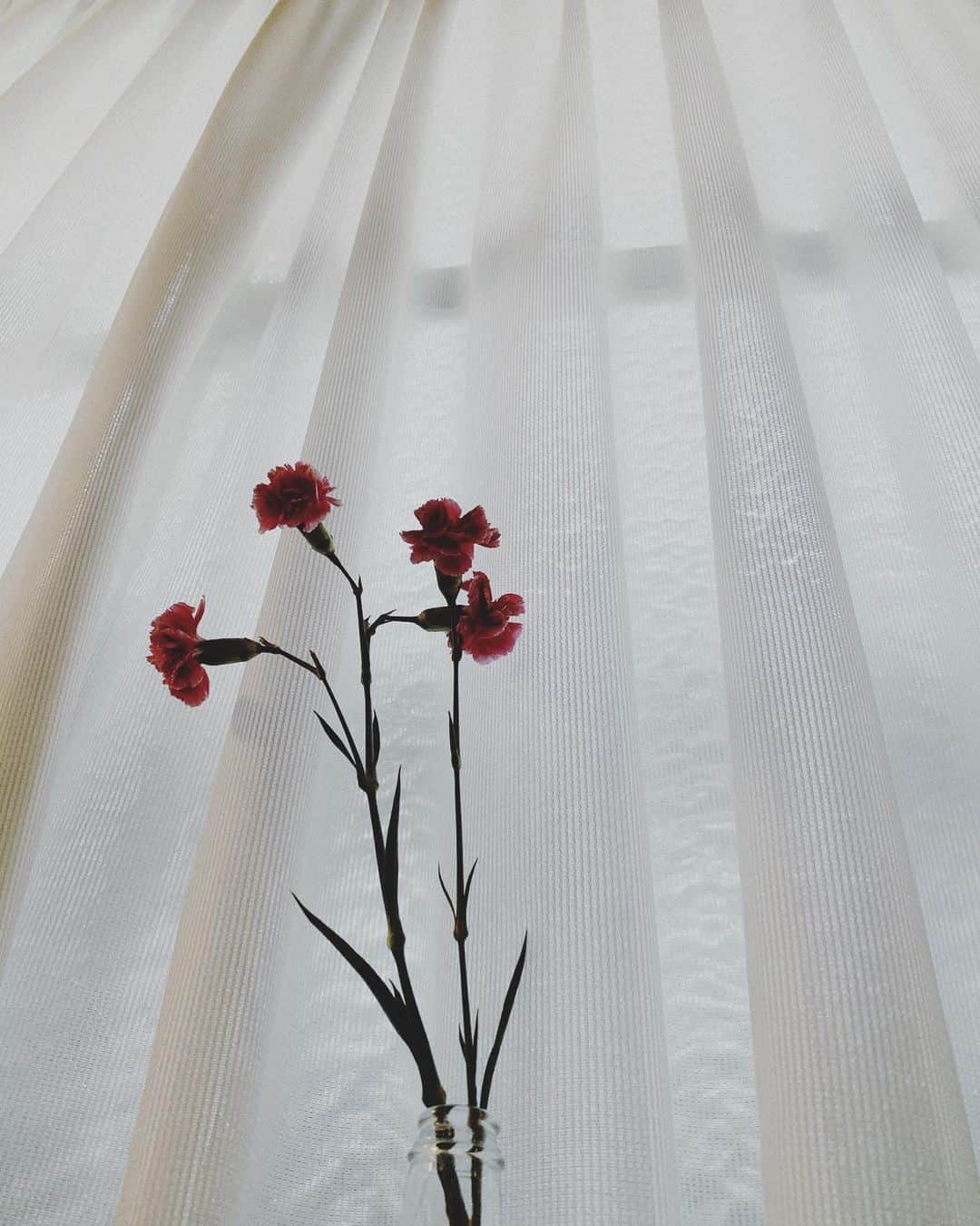 小谷実由のグルメインスタ