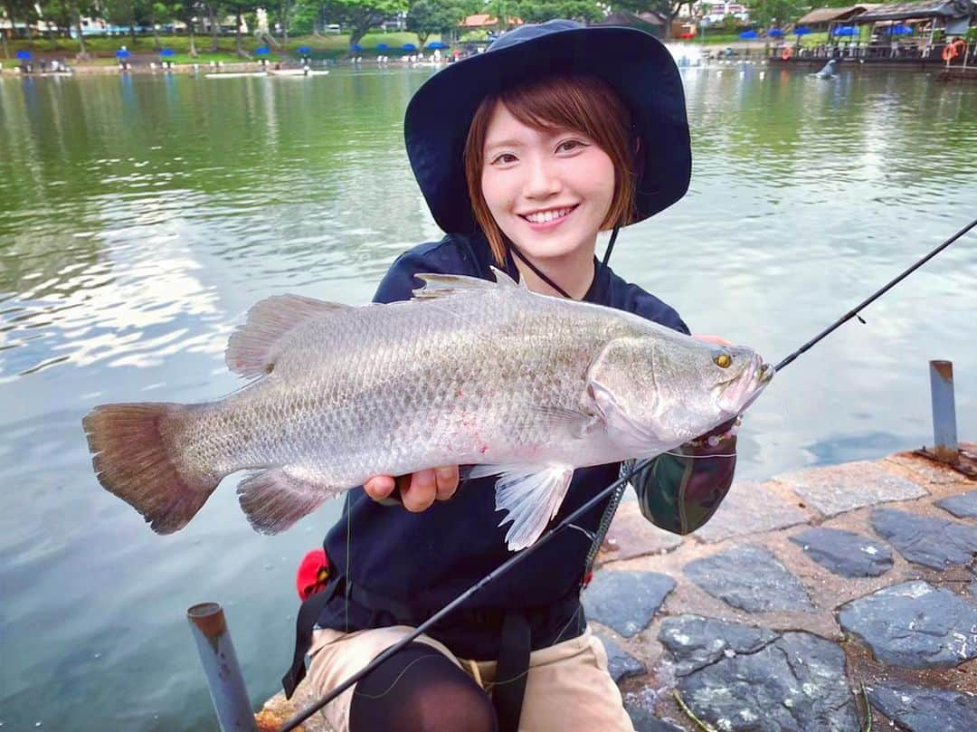 秋丸美帆さんのインスタグラム写真 - (秋丸美帆Instagram)「初めてバラマンディ釣った😍 . #singapore #asia #travel #trip #daiwa #fishing #fish #asia #barramundi #釣り #シンガポール #アジア #旅行 #シンガポール旅行 #魚 #バラマンディ」7月13日 18時33分 - mippy34