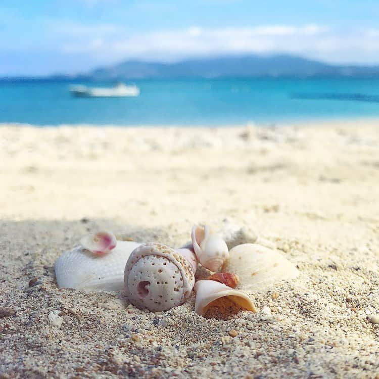 榊山敬代のインスタグラム：「🏖… ・ ヤドカリさんがいなかったかわりに 貝殻さんたちを集めて記念撮影の巻  わたしは雨女なうえに  海に近づきますと波が荒れることが多くて 大体雨が多かった沖縄のひとコマでしたが  今回は奇跡的に連日晴れて お天気の神さまありがとう ・ ・ 🙏🌞✨… ・ ・ ところが 不思議なことに  海に写真を撮りにゆこうと近づきますと 風が強く吹いてきて雲で海が曇るという  くりかえしの巻  そのようなわけで パラソルと浜辺を  行ったり来たりして 唯一晴れた感じに撮影できました動画を記録してみたのだけれど  これでも雲たちがどんぶらこと 移動されてる模様がうかがえますかんじ、、 ・ ・ 🎥…☁️☁️☁️… ・ ・ #海 #Sea #貝殻 #shell #晴天 #sky #雲 #cloud #Japan #沖縄 #okinawa #okinawatrip #loves_okinawa #okinawaphoto #日本画家 の #小旅行 #外出こんなもん #refresh #relax #充電中 🔌 #気分転換」