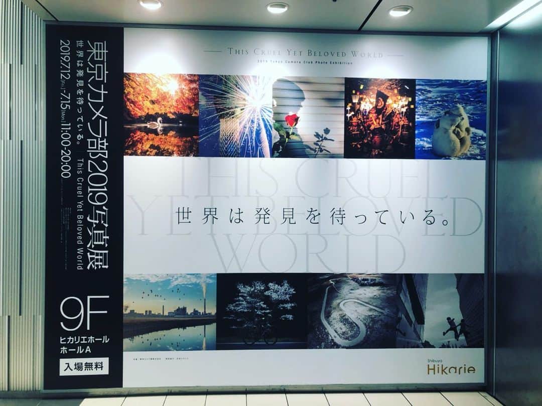 芳野友美さんのインスタグラム写真 - (芳野友美Instagram)「#東京カメラ部2019写真展 ！！ 行ってきたよ♪ 目を惹く写真ばっかり☺︎」7月13日 18時31分 - yumi_yoshino_1980