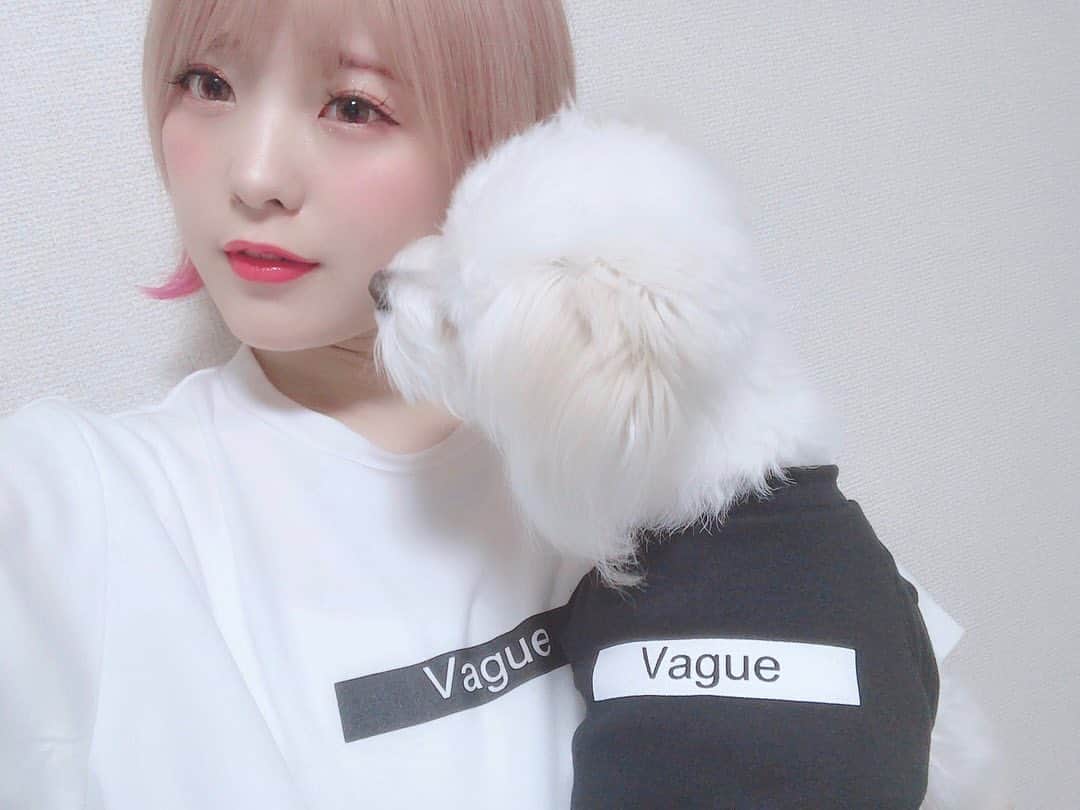 こなんさんのインスタグラム写真 - (こなんInstagram)「. . はぐとお揃いの vagueさんのお洋服🐶 かわいすぎるん わんちゃんいる方には めちゃめちゃにおすすめです😏 . 今セールもやってるよ！ 7月13日〜7月28日まで やってるみたいです☺️ #vague #vaguedogwear #愛犬とペアルック #シンプル #ペアルック」7月13日 20時07分 - konan_610