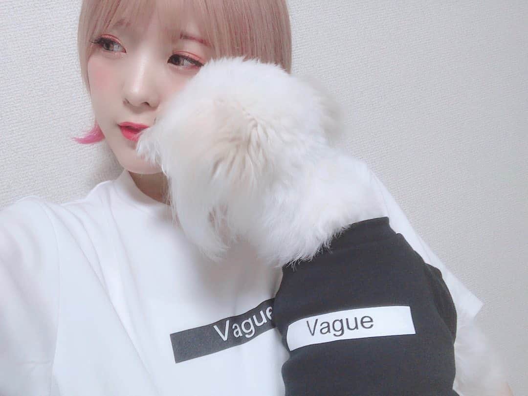 こなんさんのインスタグラム写真 - (こなんInstagram)「. . はぐとお揃いの vagueさんのお洋服🐶 かわいすぎるん わんちゃんいる方には めちゃめちゃにおすすめです😏 . 今セールもやってるよ！ 7月13日〜7月28日まで やってるみたいです☺️ #vague #vaguedogwear #愛犬とペアルック #シンプル #ペアルック」7月13日 20時07分 - konan_610