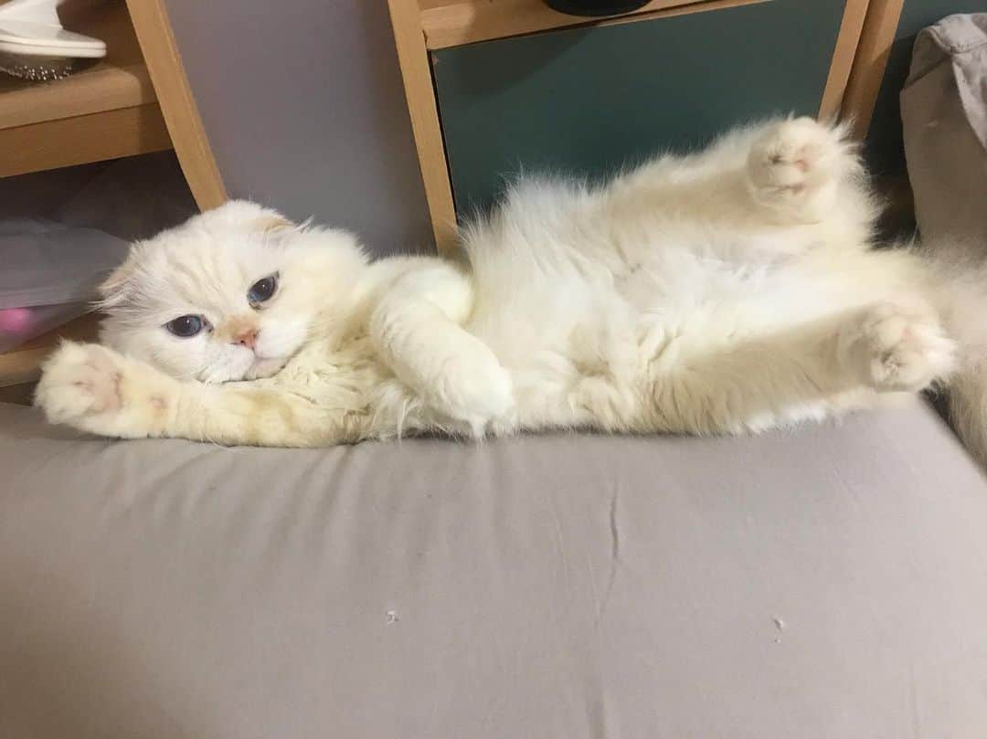 Haruのインスタグラム：「Come...and hug me. #gentleharper #มามะมากอดกัน #ชุดยังไม่ได้ซักเหลืองนิดหน่อย」