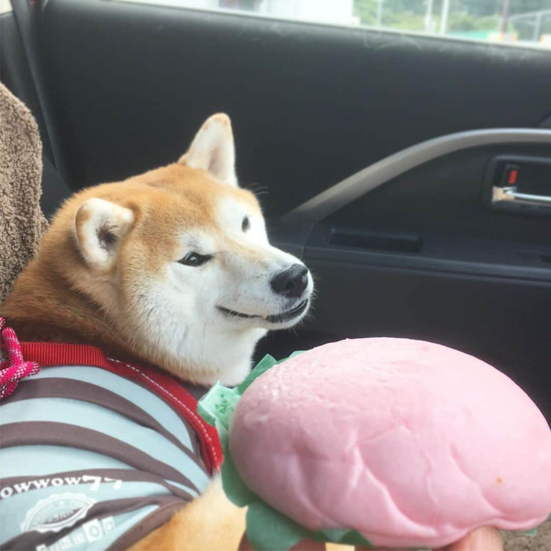 てんパパのグルメインスタ