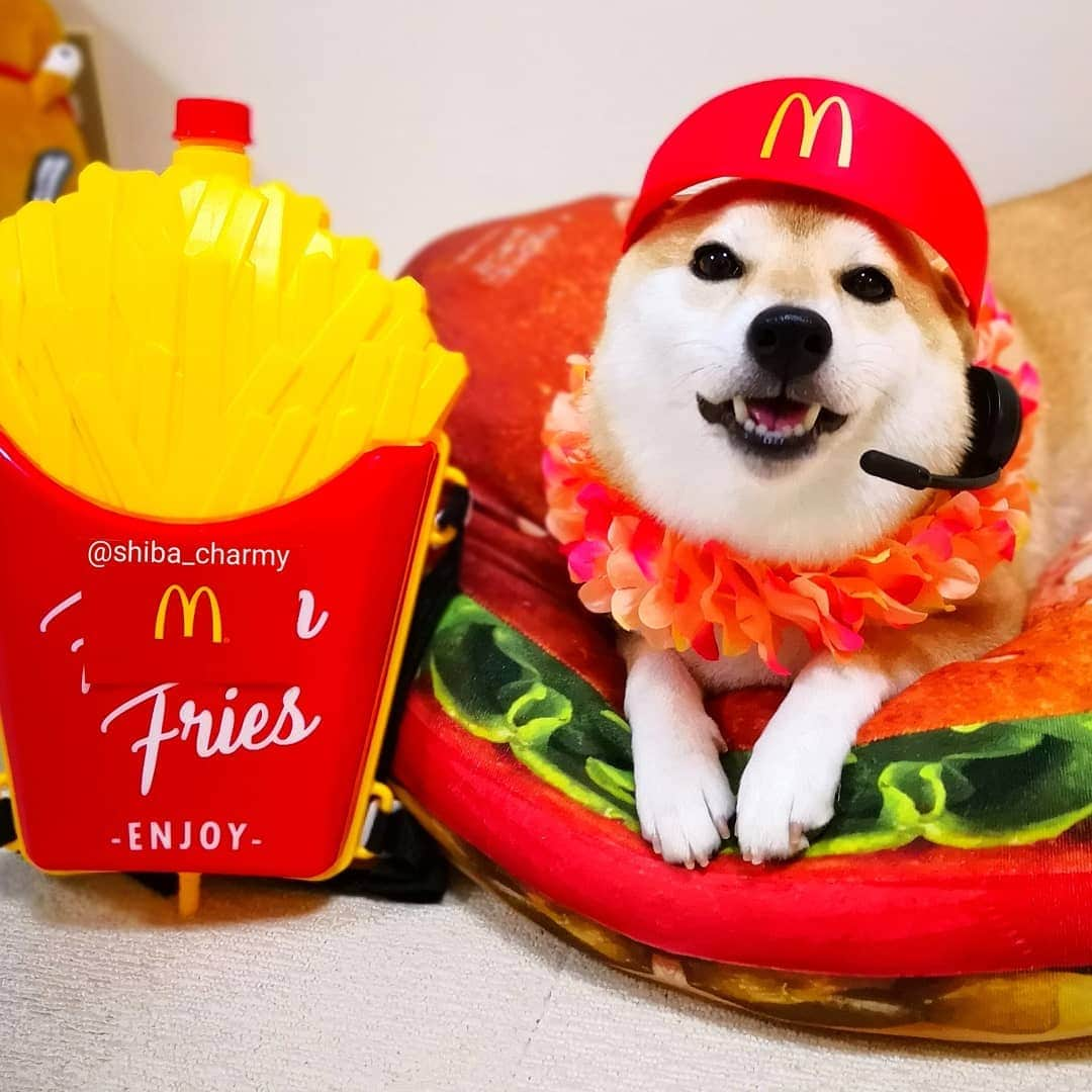 ちゃみさんのインスタグラム写真 - (ちゃみInstagram)「I'm lovin'it 🍔🍟 ご注文どうぞ～♬︎ なりきりマクドナルド😁 #ハッピーセット #クルーサンバイザー #マクドナルド #マック #Mcdonald's」7月13日 21時01分 - shiba_charmy