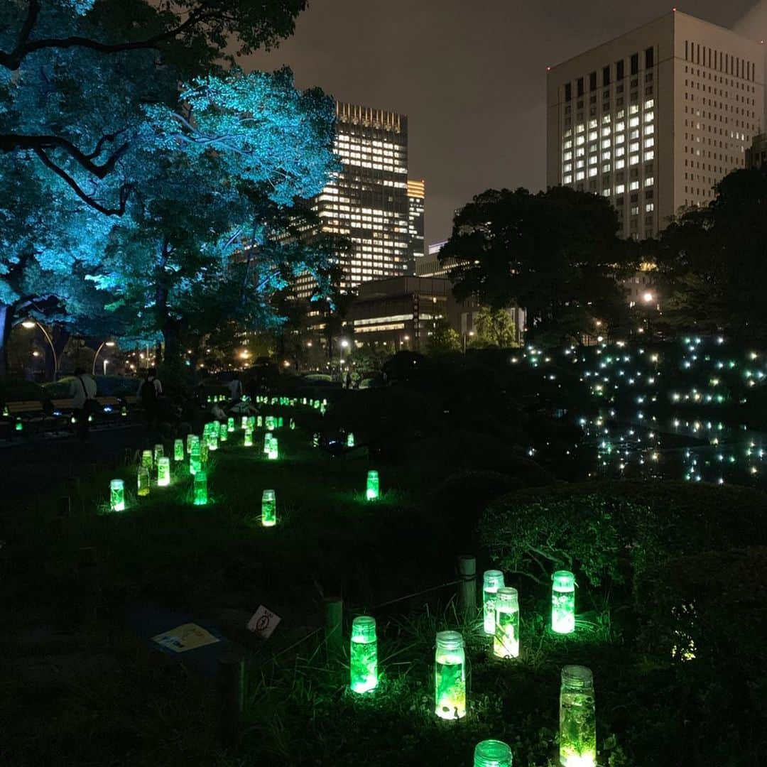 corectyさんのインスタグラム写真 - (corectyInstagram)「爽快な夏の夜を。日比谷公園で開催中のビーズハーバリウム♡ ・ 都会のオアシスに浮かび上がる幻想的なハーバリウムの光で、 心が癒やされること間違いなし💐 ・ ＃ニュービーズ のハッシュタグをつけて投稿すれば5枚目の画像のハーブティーも貰えちゃう♡ ・ メイクやスキンケアだけでなく、心と身体のリラックスもキレイの源。 木々に囲まれて、涼しげな夜を過ごしてみませんか？ ・ #ハーバリウム #ビーズハーバリウム #PR #夏イルミ #日比谷公園 #イルミネーション #ボタニカル #ニュービーズ #洗剤 #洗濯 #イベント #夜景」7月13日 20時53分 - corecty_net