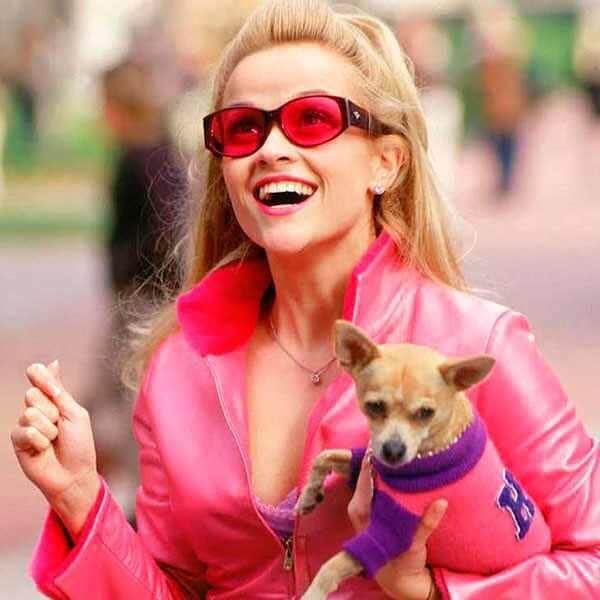 E! Onlineさんのインスタグラム写真 - (E! OnlineInstagram)「18 years ago today, these two Gemini vegetarians stepped foot onto Harvard Law School. Can you name your favorite quote from #LegallyBlonde? (What, like it's hard?) (📷: Metro-Goldwyn-Mayer)」7月14日 7時59分 - enews