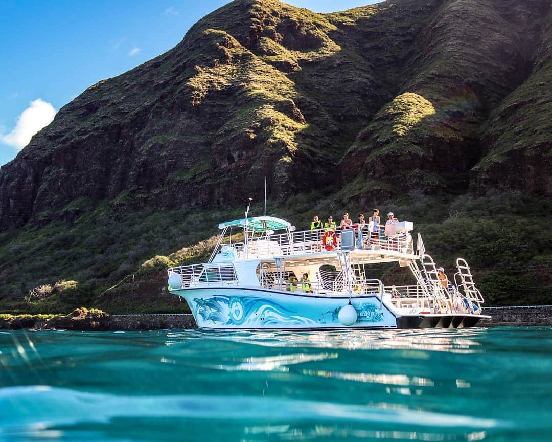 And Youさんのインスタグラム写真 - (And YouInstagram)「This is the Ariya!  She is the best boat for any adventure on the island!🐠🌴🐬 . . . . . . . . . . . . . . . . #hawaiivacation #hawaii #oahu #oahutours #hawaiitours #unrealhawaii #hawaiiholiday #oceanlife #sealife #dolphin #dolphinsnadyou #dolphintour #wilddolphin」7月14日 6時38分 - dolphinsandyou