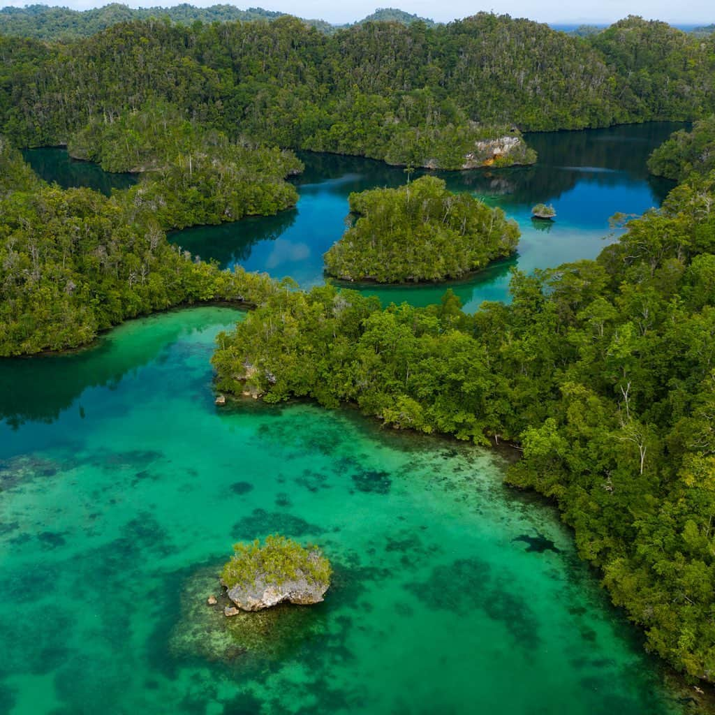 Tim Lamanさんのインスタグラム写真 - (Tim LamanInstagram)「Photo by @TimLaman.  Hidden Bay, Gam Island in the incomparable Raja Ampat Islands of West Papua.  After three weeks in the Arfak Mountains photographing birds, I’m now exploring another part of the amazing Conservation Province of West Papua.  The Raja Ampat Islands harbor the worlds highest diversity of corals and reef fish, and also spectacular land forms created by uplifted limestone eroded by the sea.  This maze-like lagoon filled with small islands is just one example.  #RajaAmpat #WestPapua #ConservationProvince」7月14日 6時48分 - timlaman