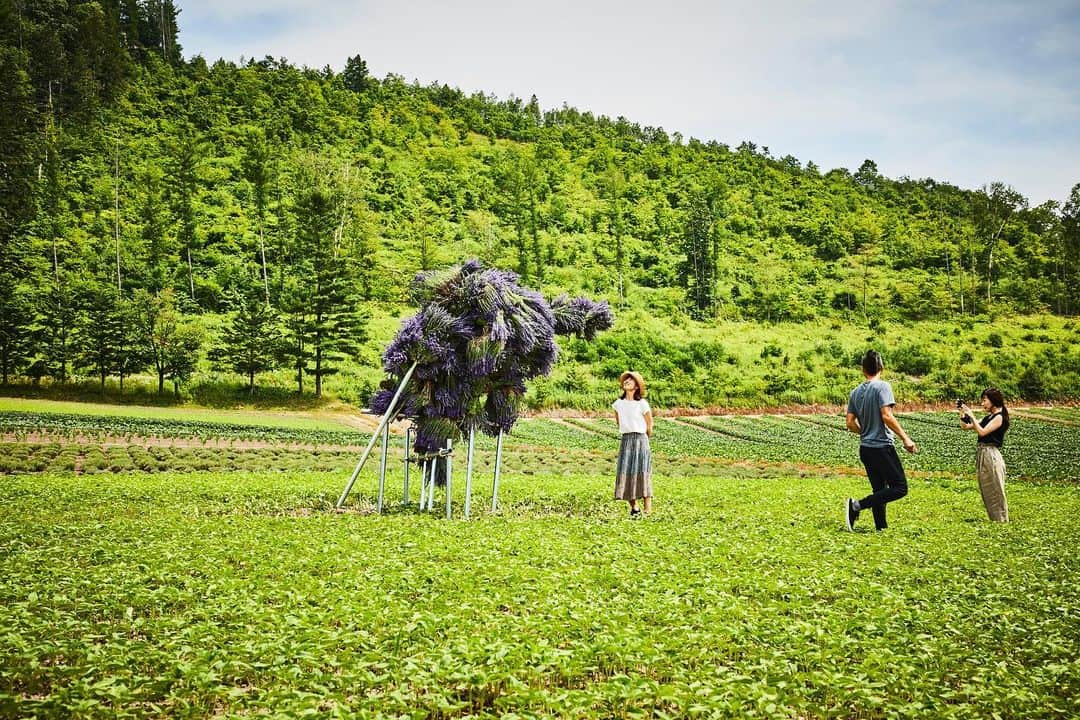 椎木俊介さんのインスタグラム写真 - (椎木俊介Instagram)「Botanical Sculpture in FURANO  #azumamakoto #makotoazuma #shiinokishunsuke #amkk #amkkproject #flowers #flowerart #botanicalsculpture #東信 #東信花樹研究所 #furano #富良野 #ラベンダー #北の国から #北海道」7月14日 6時57分 - shiinokishunsuke