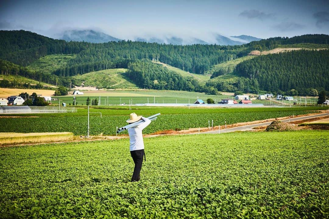 椎木俊介さんのインスタグラム写真 - (椎木俊介Instagram)「Botanical Sculpture in FURANO  #azumamakoto #makotoazuma #shiinokishunsuke #amkk #amkkproject #flowers #flowerart #botanicalsculpture #東信 #東信花樹研究所 #furano #富良野 #ラベンダー #北の国から #北海道」7月14日 6時57分 - shiinokishunsuke