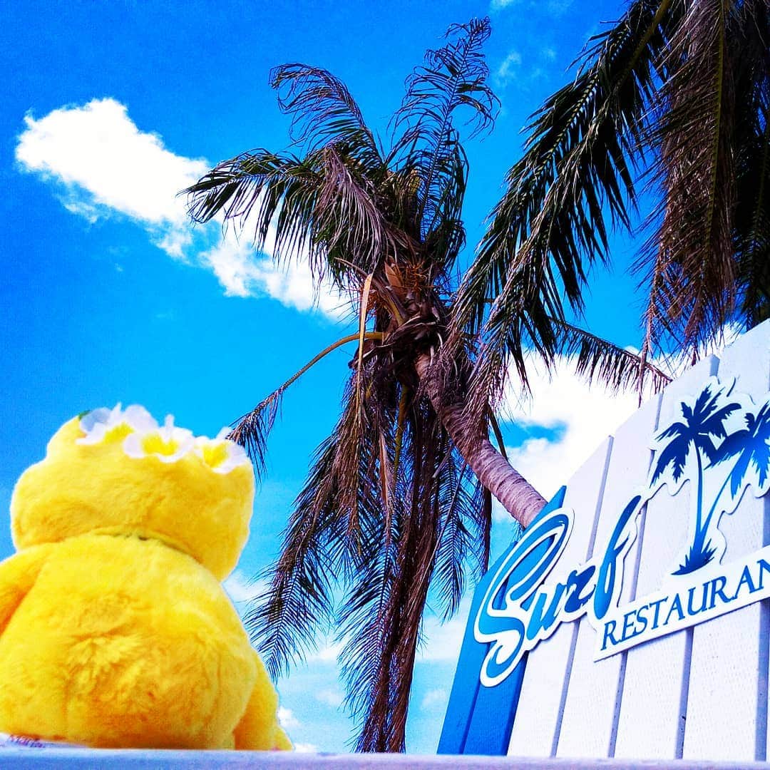 マリアナ政府観光局さんのインスタグラム写真 - (マリアナ政府観光局Instagram)「🎁サイパン旅行に使える旅行券が当たる！🎁 #ピクルスとマリアナ行きたい2019 プレゼントキャンペーンへのたくさんのご応募ありがとうございます♪まだまだ皆さんからの素敵な写真でのご応募をお待ちしています😍 応募締切は2019年8月31日24時なので、夏休み旅行の写真でも応募できちゃいます♡ 詳しくは #かえるのピクルス 公式 @picklesthefrog1994 をご覧ください😄 . . 今日のpicはオンザビーチのレストラン「サーフクラブサイパン」から。思わずカメラを向けずにはいられない、とっても大きなチェアに座って一休み中のピクルスをお届けです🍀 マリアナピクルスのように青空の下で波の音をききながらのんびりと過ごす。そんな夏休みをサイパンで実現しませんか？8月＆9月出発日限定ツアーの最新情報はbioのURLをご覧ください😊 → @mymarianas_mva . . 🌏 #サーフクラブサイパン / #サイパン . . #かえるのピクルス #ぬいどり #ぬい撮り #サイパン旅行 #テニアン #ロタ #マリアナ #ぬい旅 #青空 #ビーチ #夏  #海外旅行 #surfclubsaipanrestaurant #saipan #tinian #rotaisland #plushie #trip #islandlife #プレゼントキャンペーン #キャンペーン実施中 #懸賞 #懸賞情報 #旅行券 #トラベル #サマーギフト #夏ギフト」7月14日 7時07分 - mymarianas_mva