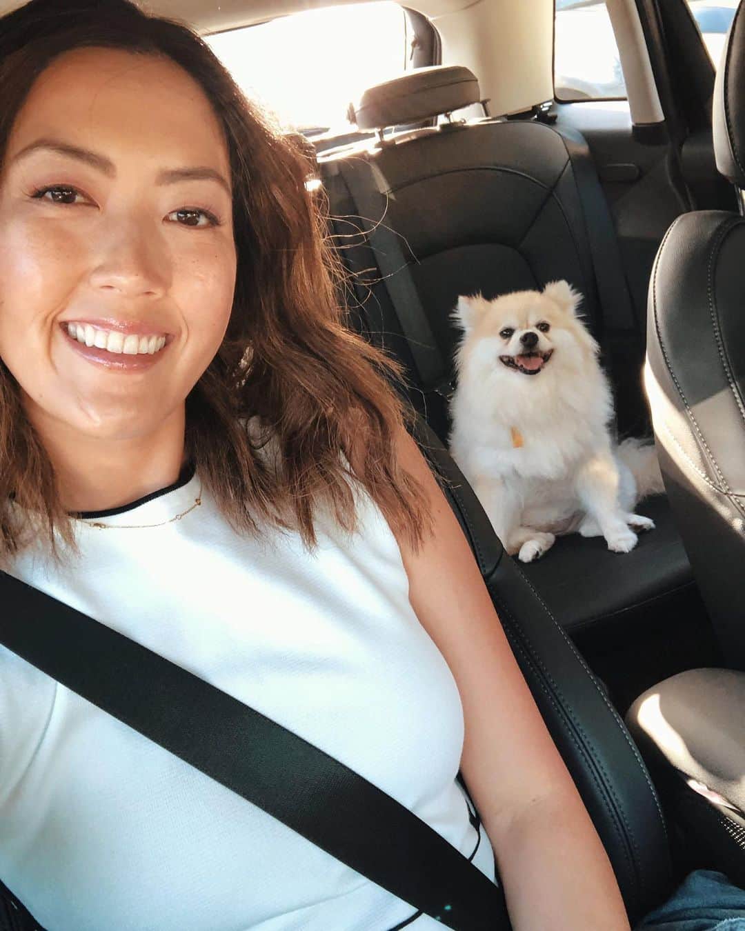 ミシェル・ウィーさんのインスタグラム写真 - (ミシェル・ウィーInstagram)「I got a question for all the doggie parents out there...I love taking Lola out with me, but I get so nervous every time she’s in the car because I feel like she is so unprotected. Do they make seatbelts for puppies?? Anyone know of a good way to transport puppies safely and comfortably?? 🐶🐶」7月14日 7時28分 - michellewiewest