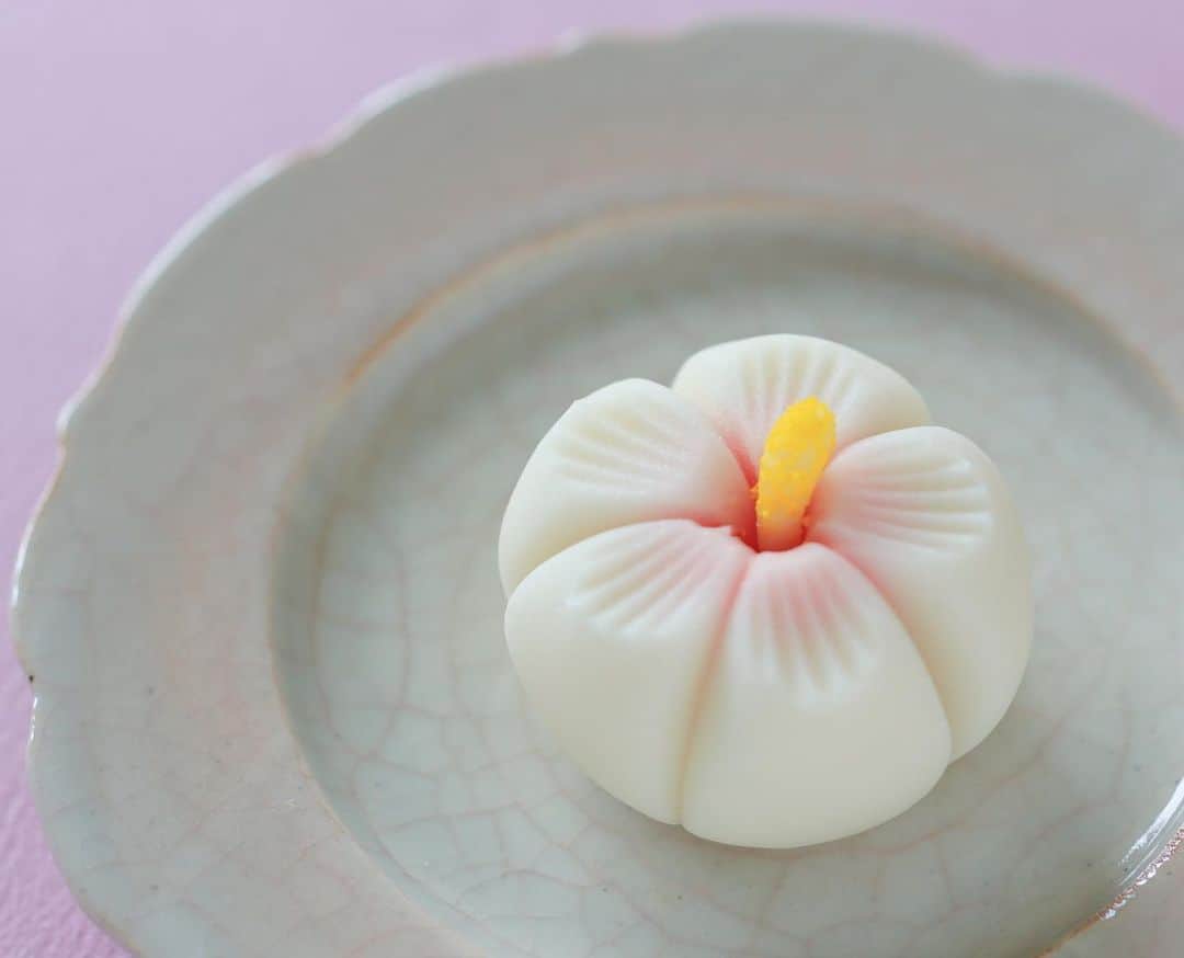 Toru Tsuchieさんのインスタグラム写真 - (Toru TsuchieInstagram)「今日の和菓子はねりきりで作った木槿です。 ねりきりとは白餡に餅や芋を混ぜて作った和菓子で 茶道 で使われる「主菓子」の一種です。 撮影 用に作成しました。  フェイスブックページのいいね！もよろしくお願いします。 https://www.facebook.com/shishisu/ Today's wagashi is Hibiscus syriacus with Nerikiri. The Nerikiri is the material of wagashi made by mixing the rice cake and yam in white bean. Is a kind of "Jounamagashi" as used in the tea ceremony. The sweets I've made for the shooting.  #福泉堂  #和菓子  #おいしい #funny #my_eos_photo #出雲  #wp_delicious_jp #カメラ好きな人と繋がりたい  #写真好きな人と繋がりたい　 #model #handmade　 #as_archive #Japan #wagashi  #جميل #красивый #ファインダー越しの世界 #design #work #ig_color  #일본디저트  #Mignon  #igfood #lifestylenipponpic #photooftheday #สวย #sweets #kawaii #夏」7月14日 7時36分 - choppe_tt