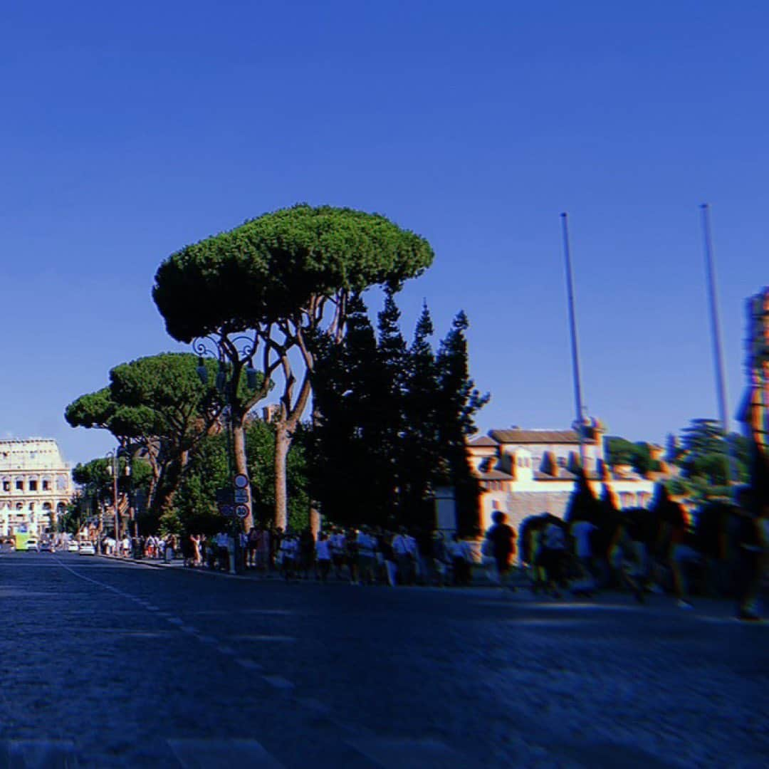 ショーン・エバリストさんのインスタグラム写真 - (ショーン・エバリストInstagram)「Some of the last photos I got while in Italy. 🇮🇹 Honestly this dance thing really is so much about connection and communication, the movement feels more so like the glue that keeps it all together. Truly thankful to live such experiences, life is short in the macro perspective and we only have one of them🙇🏻‍♂️Taking it in full for real🙏🏽 . . . . . Thank you @bouncefactory @idancecampofficial @simoneginanneschi for all💛 What a wonderful time, I appreciate everything 🍃To all the friends I got to exchange with, you already know😊💫 @tali_1301 @mecnungiasar @zaccmilne @flaminia.genoese @junquemado @atram115 @larkinpoynton @antonio_fab19 and big thank you to all those I got to share some dance space with!! Till next time:)」7月14日 7時49分 - shaunevaristo