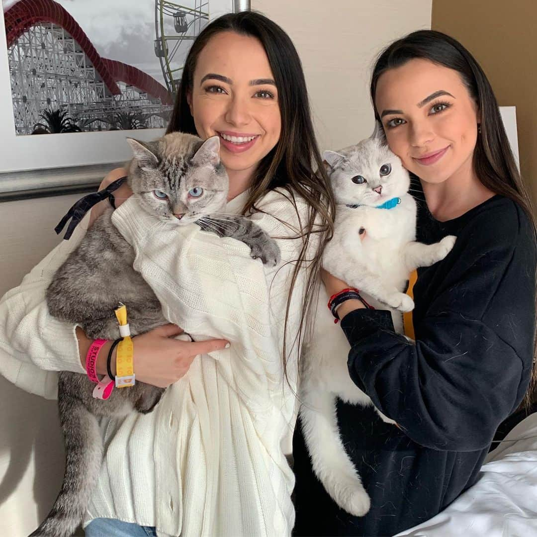 nala_catさんのインスタグラム写真 - (nala_catInstagram)「I love you too @merrelltwins @vanessamerrell @veronicamerrell @white_coffee_cat」7月13日 23時12分 - nala_cat