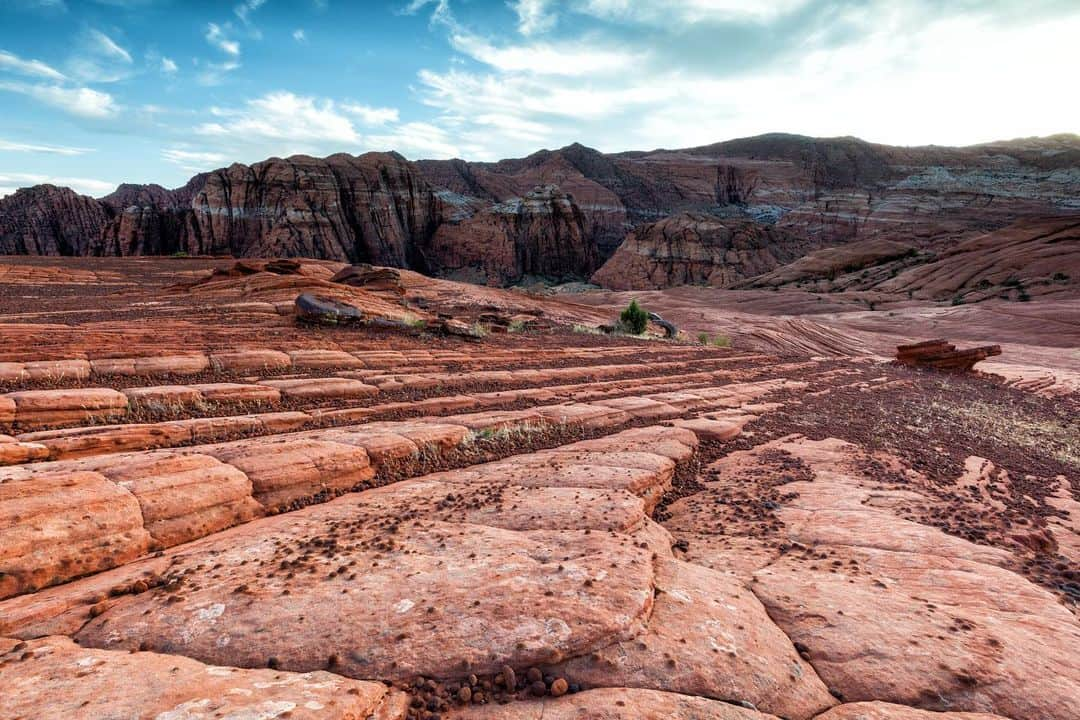 アンジー・ペインさんのインスタグラム写真 - (アンジー・ペインInstagram)「Snow Canyon carousel. Utah does it again with this amazing spot I had never seen just minutes from the road. Oh, and....sandstone 🧡 @visitutah @austendiamond @verydynamite • • • • • #landscapephotography #macrophotography」7月13日 23時28分 - angelajpayne