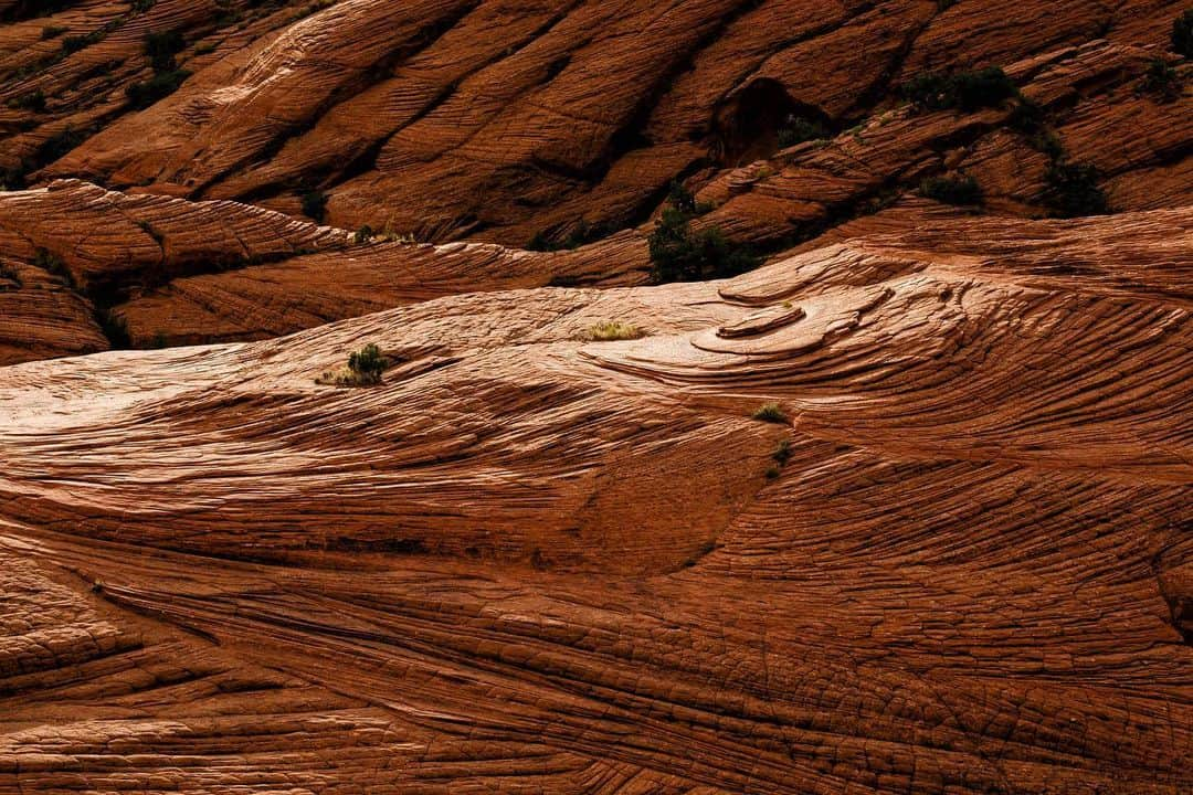 アンジー・ペインさんのインスタグラム写真 - (アンジー・ペインInstagram)「Snow Canyon carousel. Utah does it again with this amazing spot I had never seen just minutes from the road. Oh, and....sandstone 🧡 @visitutah @austendiamond @verydynamite • • • • • #landscapephotography #macrophotography」7月13日 23時28分 - angelajpayne