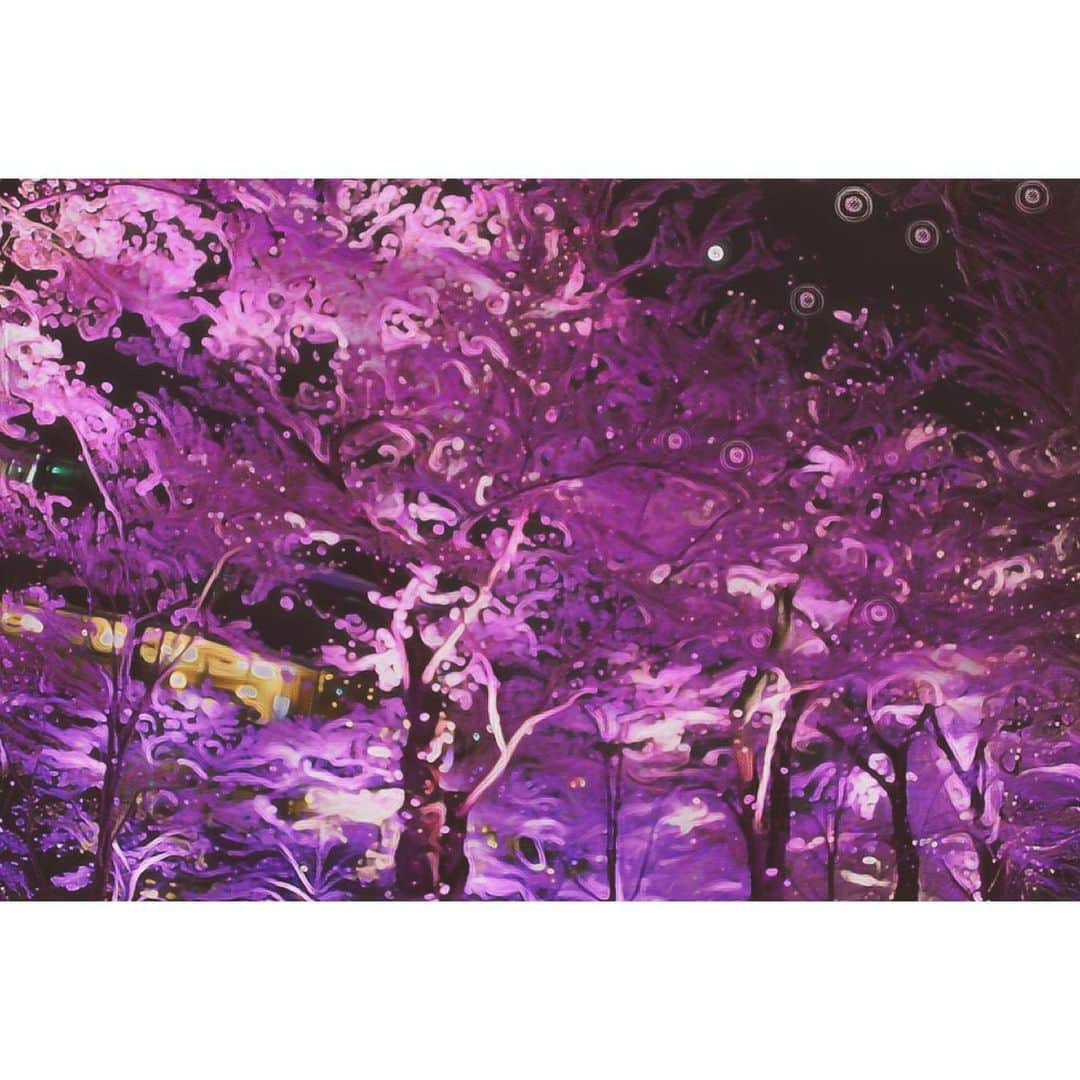 潘めぐみさんのインスタグラム写真 - (潘めぐみInstagram)「#ワノ国編 ということで . 海と桜の写真を引っぱり出して . コテコテにイラストっぽくしてみたよ。 . #今日の花 #昨年の桜 #夜桜 #桜 #🌸 #meitu #pictart」7月13日 23時56分 - han_meg_han