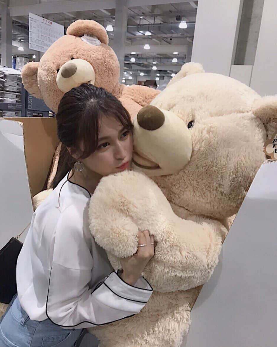 のインスタグラム：「くまたんㅤ かわいいくまたん もってかえってあげたいけど あなたがいれるばしょがないの。。 いつか、おむかえにいくからね ＿＿＿＿＿＿＿ㅤ #costco  #costcobear  #コストコくま」