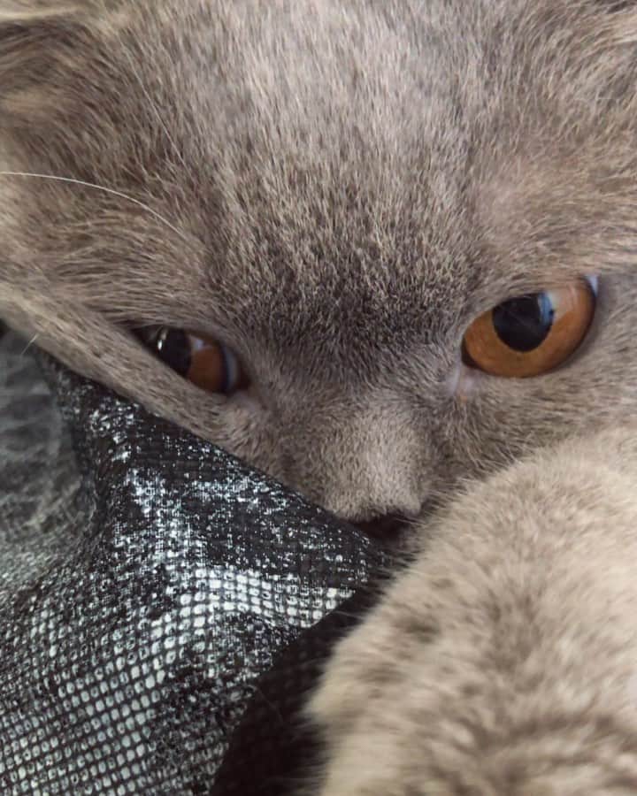 Millaのインスタグラム