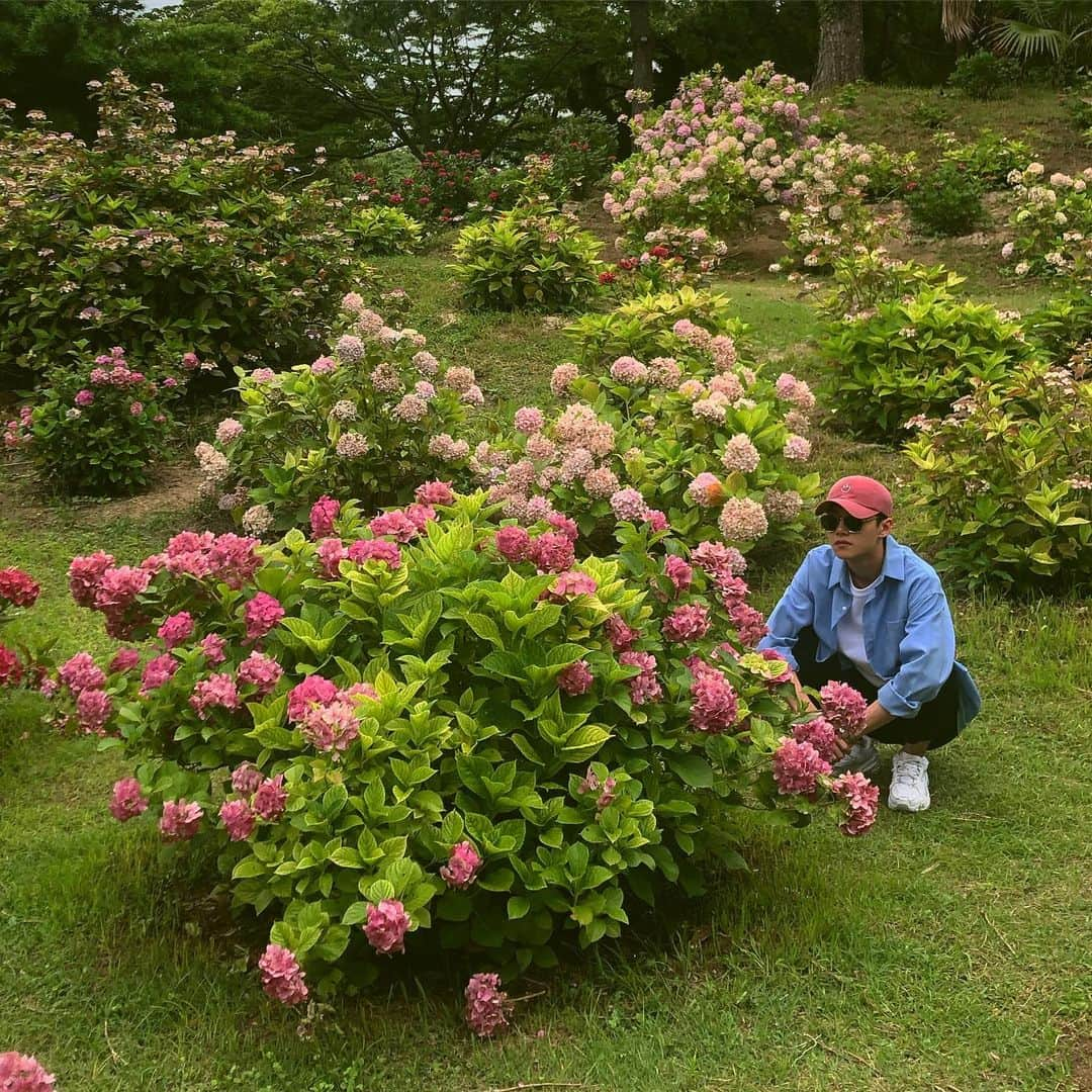 ソ・ジフンさんのインスタグラム写真 - (ソ・ジフンInstagram)「모자로 꽃이랑 친구 맺기 시도 공통점 찾기 🌸」7月14日 0時26分 - jihux