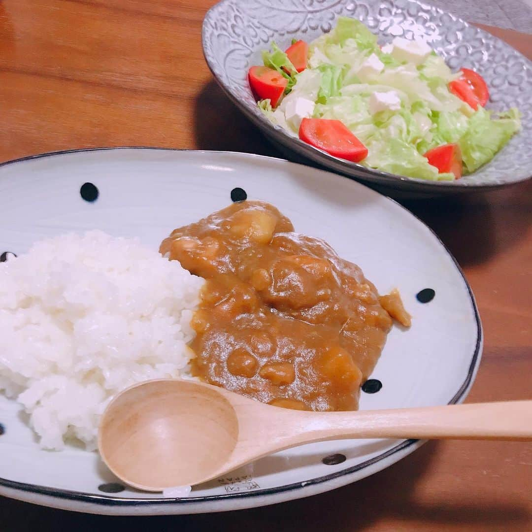 藤田彩さんのインスタグラム写真 - (藤田彩Instagram)「今夜はカレーでした🍛. . #なんの変哲もないただのカレー #載せるほどのものでもないのですがなんとなく写真撮ったので #食器がお気に入りです #たや日記 #たやごはん #ごはん #おうちごはん #カレー #食器 #食器好き #和食器」7月14日 1時28分 - tayayayayan