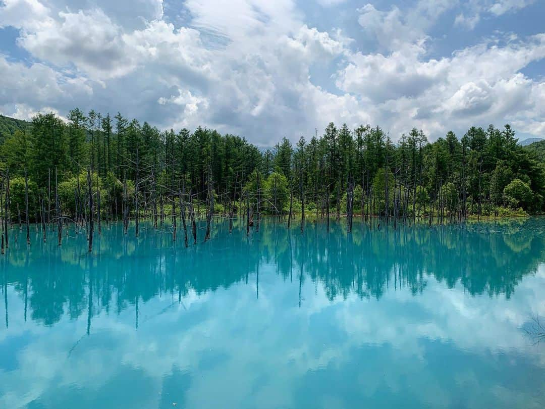 有末麻祐子さんのインスタグラム写真 - (有末麻祐子Instagram)「北海道！富良野.美瑛.トマム 一泊二日弾丸旅行👏🏻 こちらは嘘みたいな 青い池🥺 真冬に富良野に来た時は銀世界で、それはそれで綺麗だったんだけども 青すぎてびっくり‼️🥺 綺麗だったなぁ〜 最高にデトックスできた場所でした！ と、青い池の近くにある 白ひげの滝。 セットで行くのがオススメだよ💁🏻‍♀️」7月14日 1時56分 - mayukoarisue